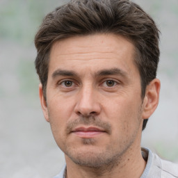 Neutral white adult male with short  brown hair and brown eyes