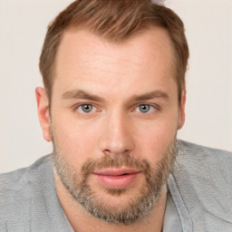 Neutral white young-adult male with short  brown hair and grey eyes