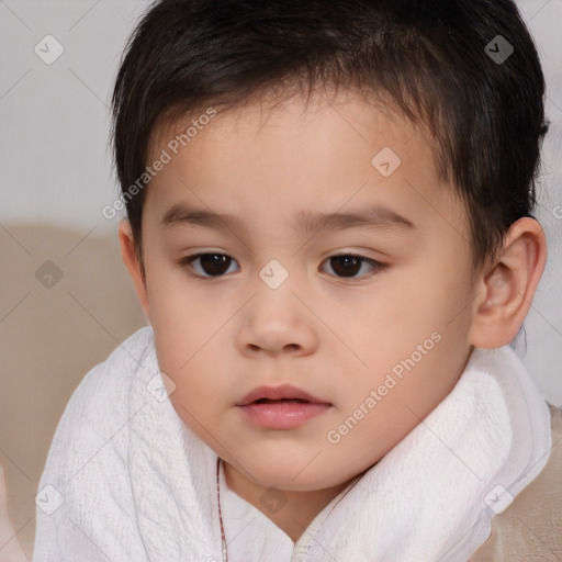 Neutral white child male with short  brown hair and brown eyes