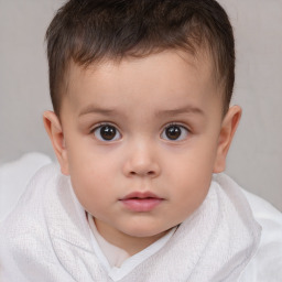 Neutral white child male with short  brown hair and brown eyes