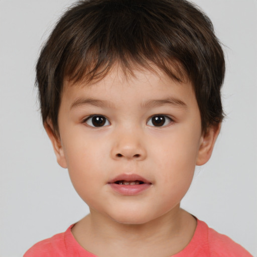 Neutral white child male with short  brown hair and brown eyes