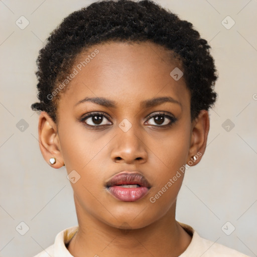 Neutral black young-adult female with short  brown hair and brown eyes