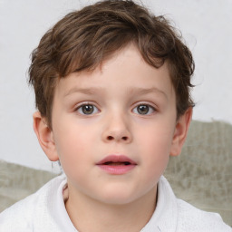 Neutral white child male with short  brown hair and brown eyes