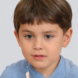 Neutral white child male with short  brown hair and brown eyes