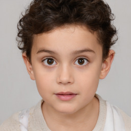 Neutral white child male with short  brown hair and brown eyes