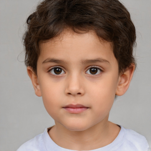 Neutral white child male with short  brown hair and brown eyes