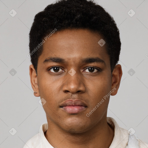 Neutral black young-adult male with short  black hair and brown eyes