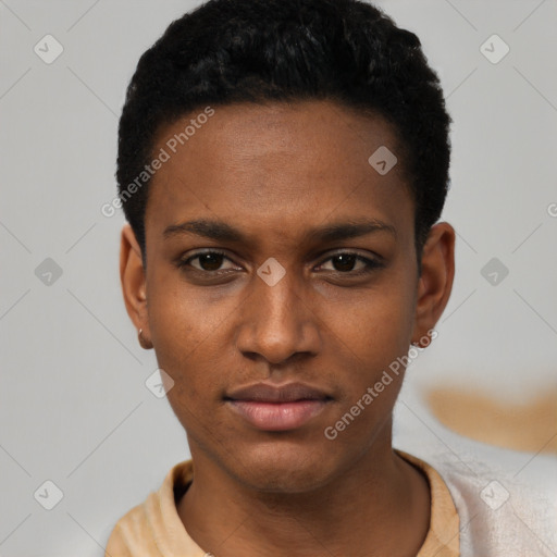 Neutral black young-adult male with short  black hair and brown eyes