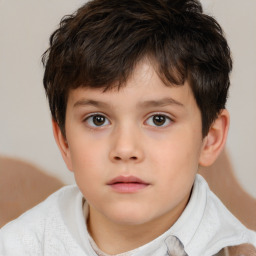 Neutral white child male with short  brown hair and brown eyes