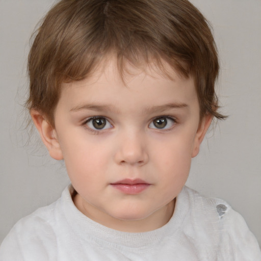 Neutral white child male with short  brown hair and brown eyes