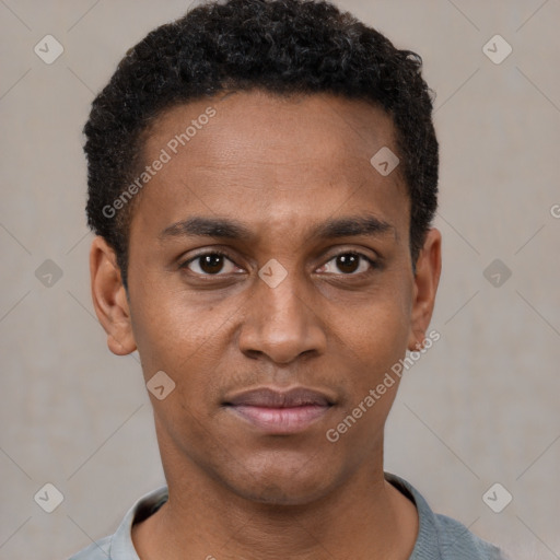 Joyful black young-adult male with short  black hair and brown eyes