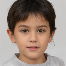 Neutral white child male with short  brown hair and brown eyes