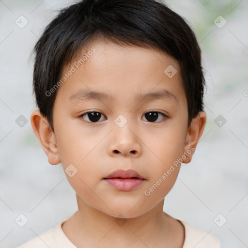 Neutral white child male with short  brown hair and brown eyes