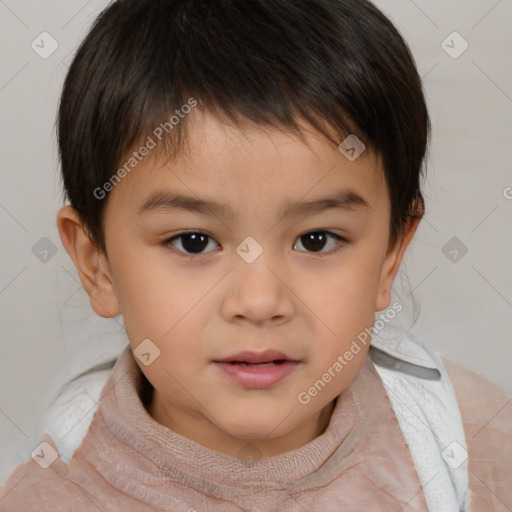 Neutral white child male with short  brown hair and brown eyes