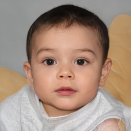 Neutral white child male with short  brown hair and brown eyes