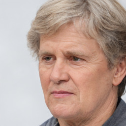 Neutral white middle-aged male with short  brown hair and brown eyes