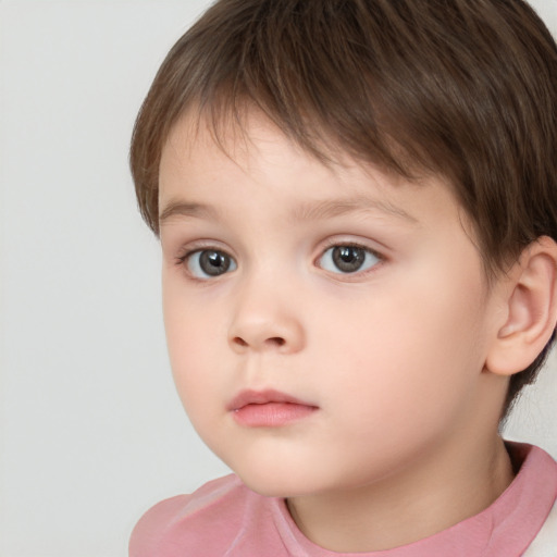 Neutral white child male with short  brown hair and brown eyes