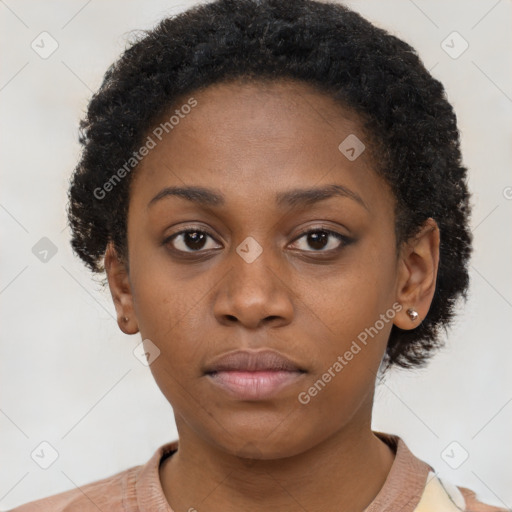 Neutral black young-adult female with short  brown hair and brown eyes