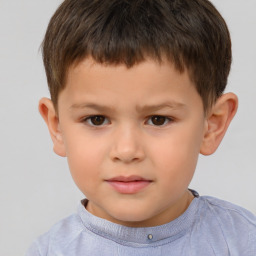 Neutral white child male with short  brown hair and brown eyes