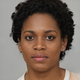 Neutral black young-adult female with short  brown hair and brown eyes