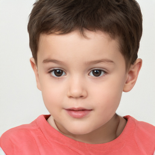 Neutral white child male with short  brown hair and brown eyes