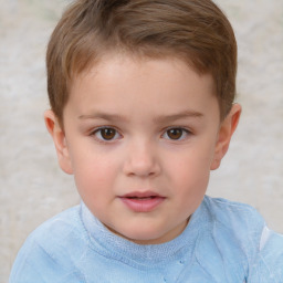 Neutral white child male with short  brown hair and brown eyes