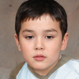 Neutral white child male with short  brown hair and brown eyes