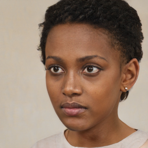 Neutral black young-adult female with short  brown hair and brown eyes