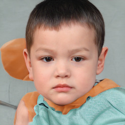 Neutral white child male with short  brown hair and brown eyes