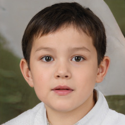 Neutral white child male with short  brown hair and brown eyes