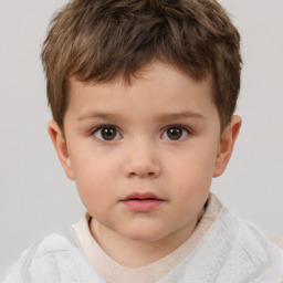 Neutral white child male with short  brown hair and brown eyes