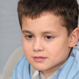 Neutral white child male with short  brown hair and brown eyes