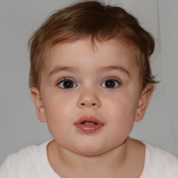 Neutral white child male with short  brown hair and brown eyes