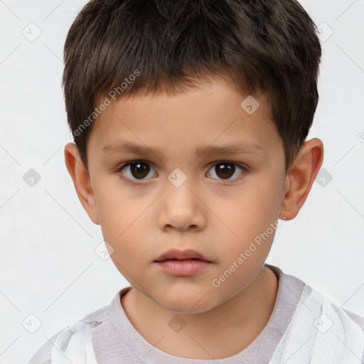 Neutral white child male with short  brown hair and brown eyes