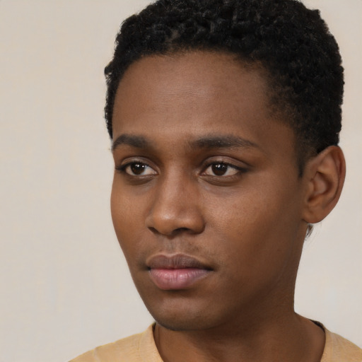 Neutral black young-adult male with short  black hair and brown eyes