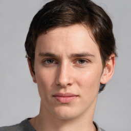 Neutral white young-adult male with short  brown hair and grey eyes