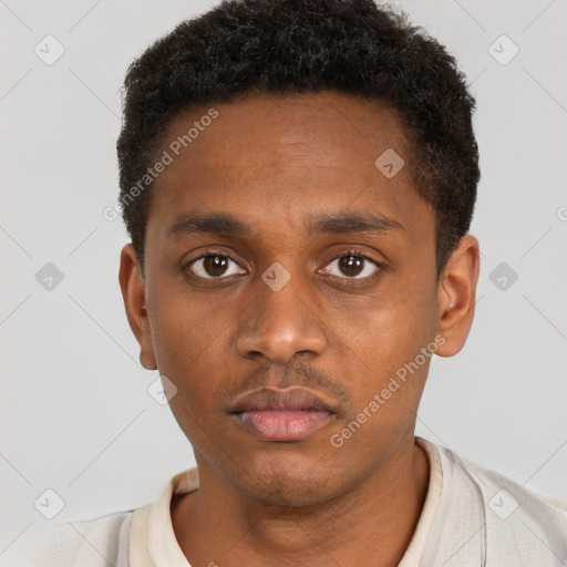 Neutral black young-adult male with short  black hair and brown eyes