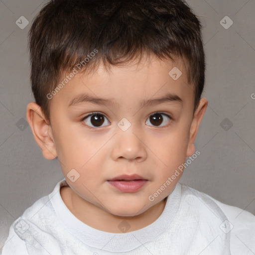 Neutral white child male with short  brown hair and brown eyes