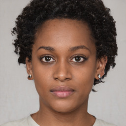 Neutral black young-adult female with short  brown hair and brown eyes