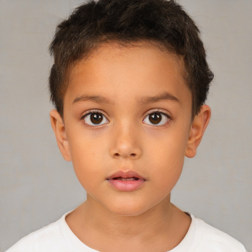 Neutral white child male with short  brown hair and brown eyes