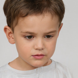 Neutral white child male with short  brown hair and brown eyes