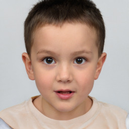 Neutral white child male with short  brown hair and brown eyes