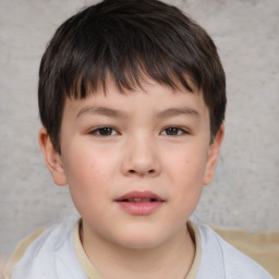 Neutral white child male with short  brown hair and brown eyes