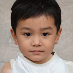 Neutral white child male with short  brown hair and brown eyes