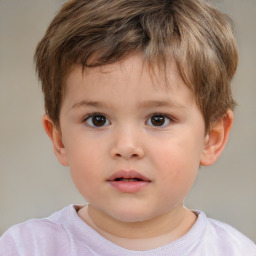 Neutral white child male with short  brown hair and brown eyes