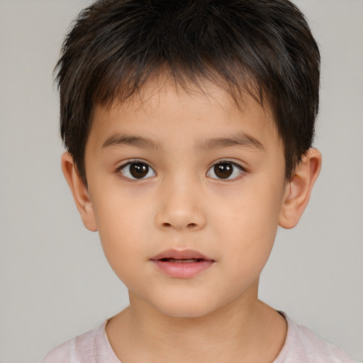 Neutral white child male with short  brown hair and brown eyes