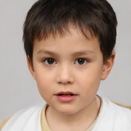 Neutral white child male with short  brown hair and brown eyes