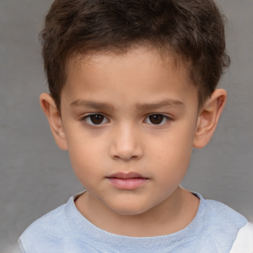 Neutral white child male with short  brown hair and brown eyes