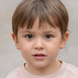 Neutral white child male with short  brown hair and brown eyes