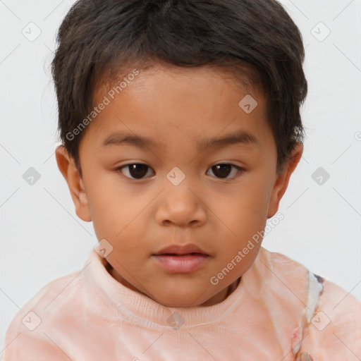 Neutral white child male with short  brown hair and brown eyes